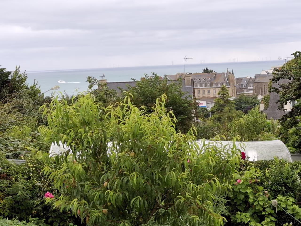 Point de vue de la salle du petit déjeuner